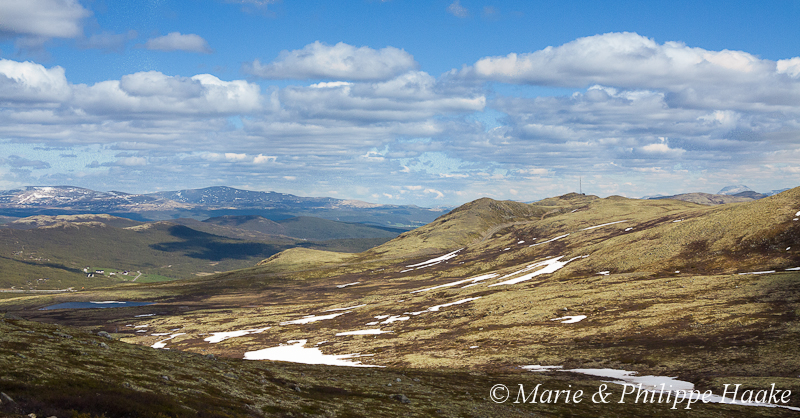 Dovrefjell 1998.jpg - Dovrefjell, près de la cabane du Tverrfjell (Norvège, juin 2012)